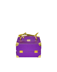 SHARKS OF THE GOLD OCEAN JEWELRY CASE | Sprayground Sale