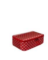 FREQUENT FLIER SNEAKER HOLDER | Sprayground Special Offer