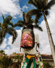 PINK PANTHER CAN'T CATCH ME DLXR BACKPACK | Sprayground Special Offer