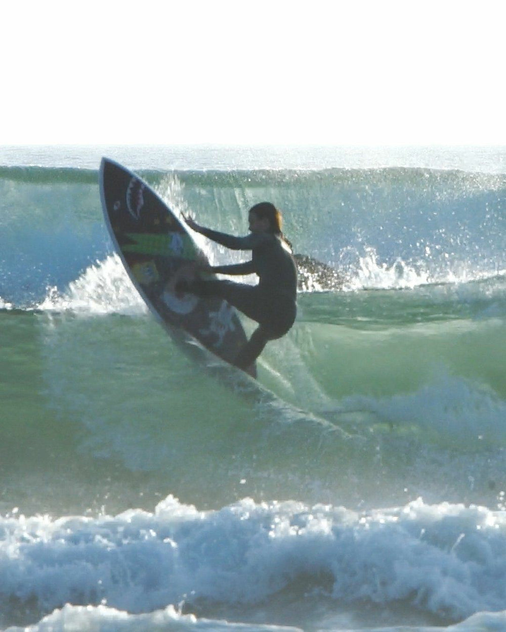 WTF SURFBOARD | Sprayground Hot Deal