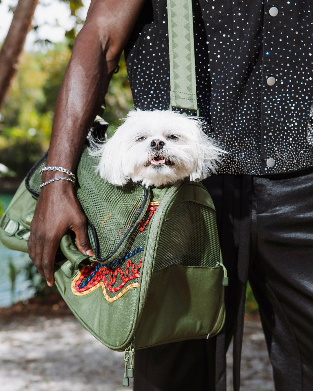 WON'T STOP TILL THE TOP PET CARRIER | Sprayground Discounted