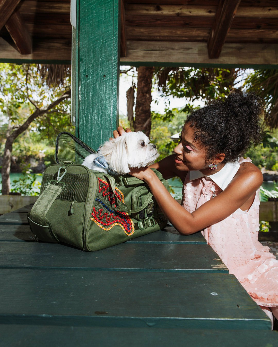 WON'T STOP TILL THE TOP PET CARRIER | Sprayground Discounted