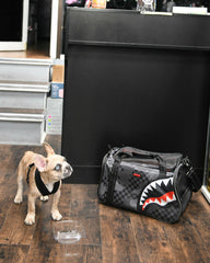 3AM PET CARRIER | Sprayground On Sale