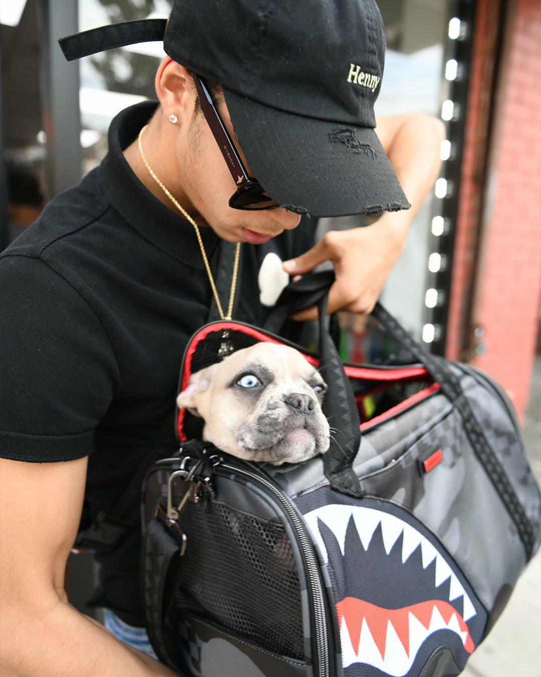 3AM PET CARRIER | Sprayground On Sale