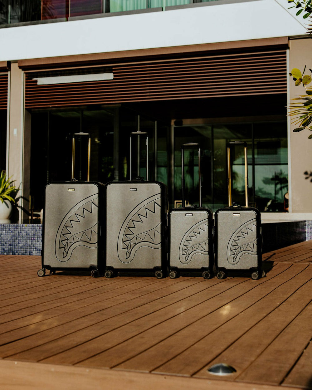 REALITY CHECK SHARKITECTURE CARRY-ON JETBLACK LUGGAGE (GOLD HARDWARE) | Sprayground On Sale