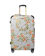 A.I. AFRICAN INTELLIGENCE ELEGANT ENERGY SHARKITECTURE FULL SIZE LUGGA | Sprayground Sale