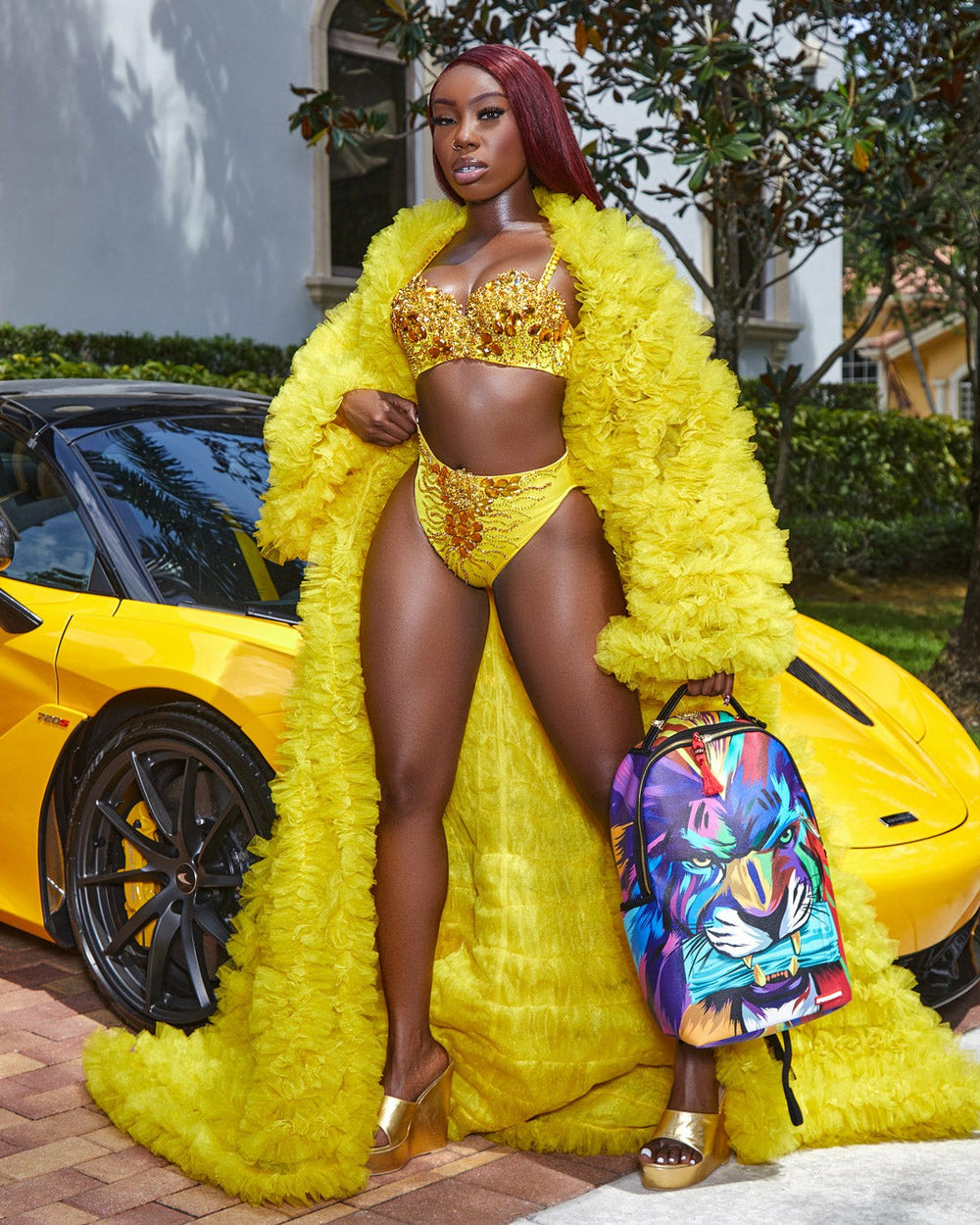 HEAR MY ROAR A.i.6 SANDFLOWER COLLAB BACKPACK (DLXV) | Sprayground On Sale