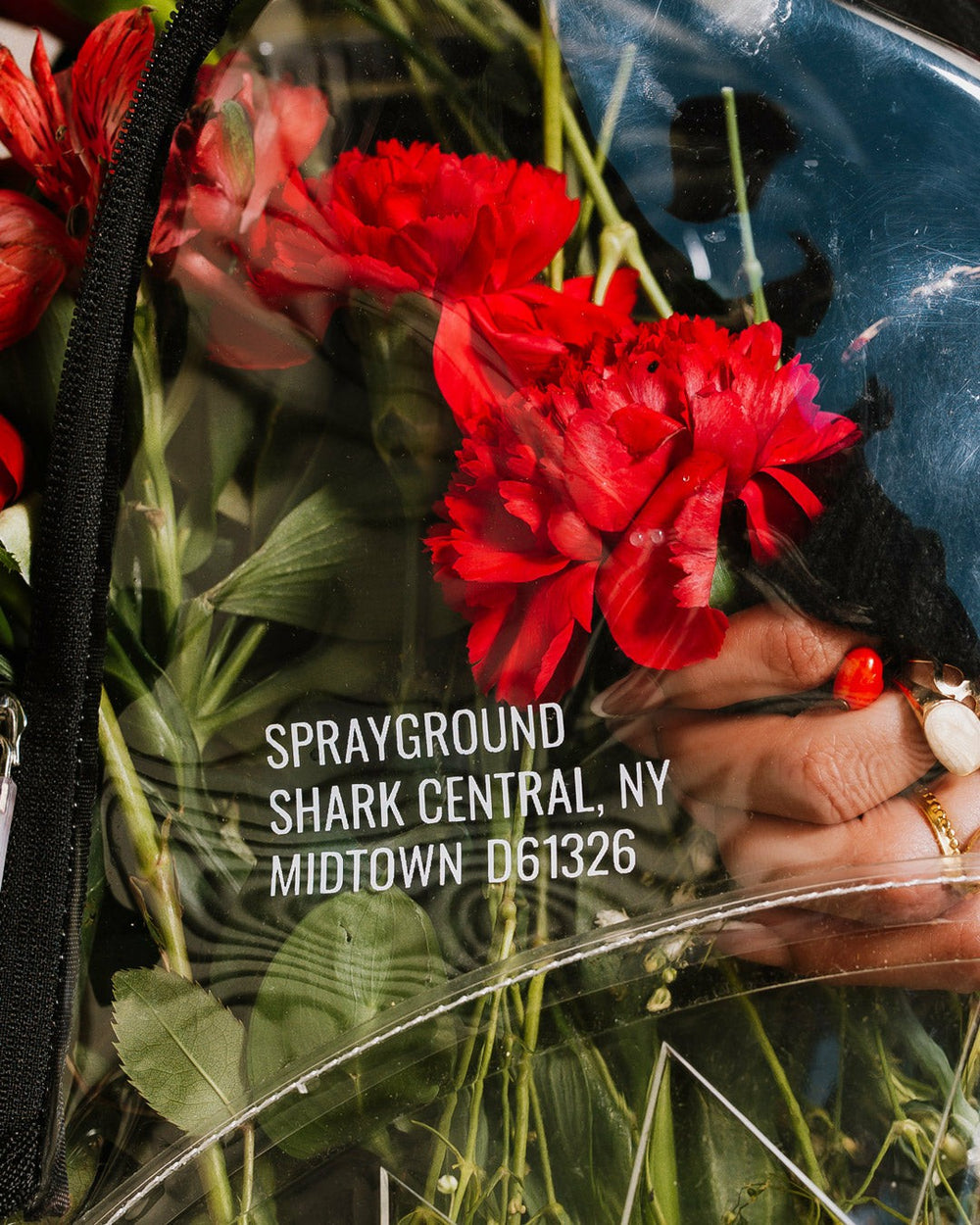 100% CLEAR BACKPACK - SHARK CENTRAL | Sprayground Exclusive Deal