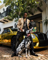 RICHIE RICH PAINT THE SHARK GOLD BACKPACK | Sprayground Outlets