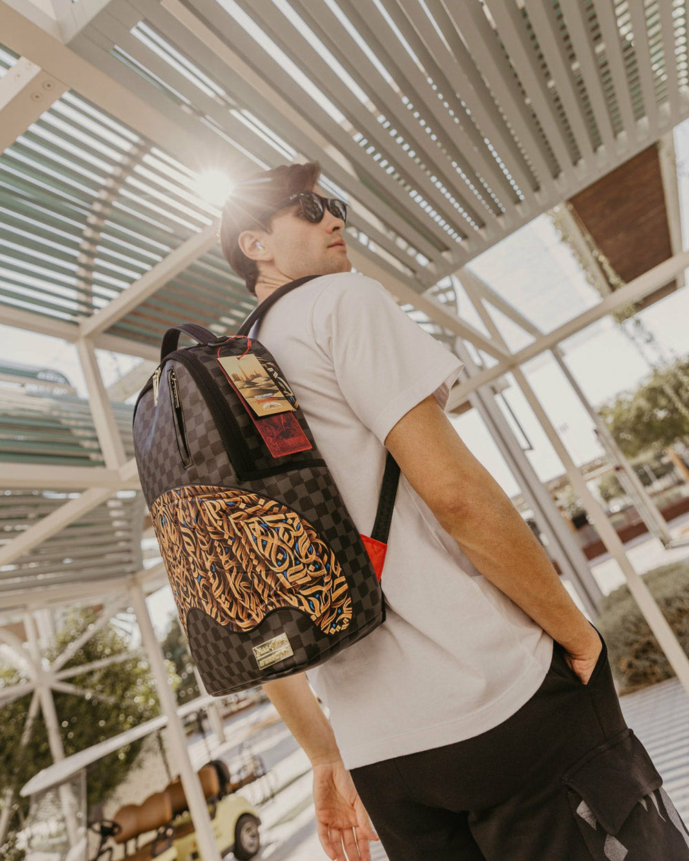 DIAA ALLAM SEEKING PERFECTION 001 BACKPACK | Sprayground Bargain
